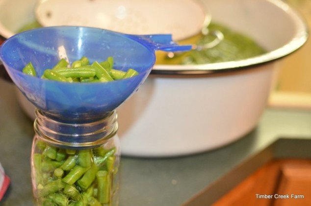 Canning Green Beans to Enjoy Later